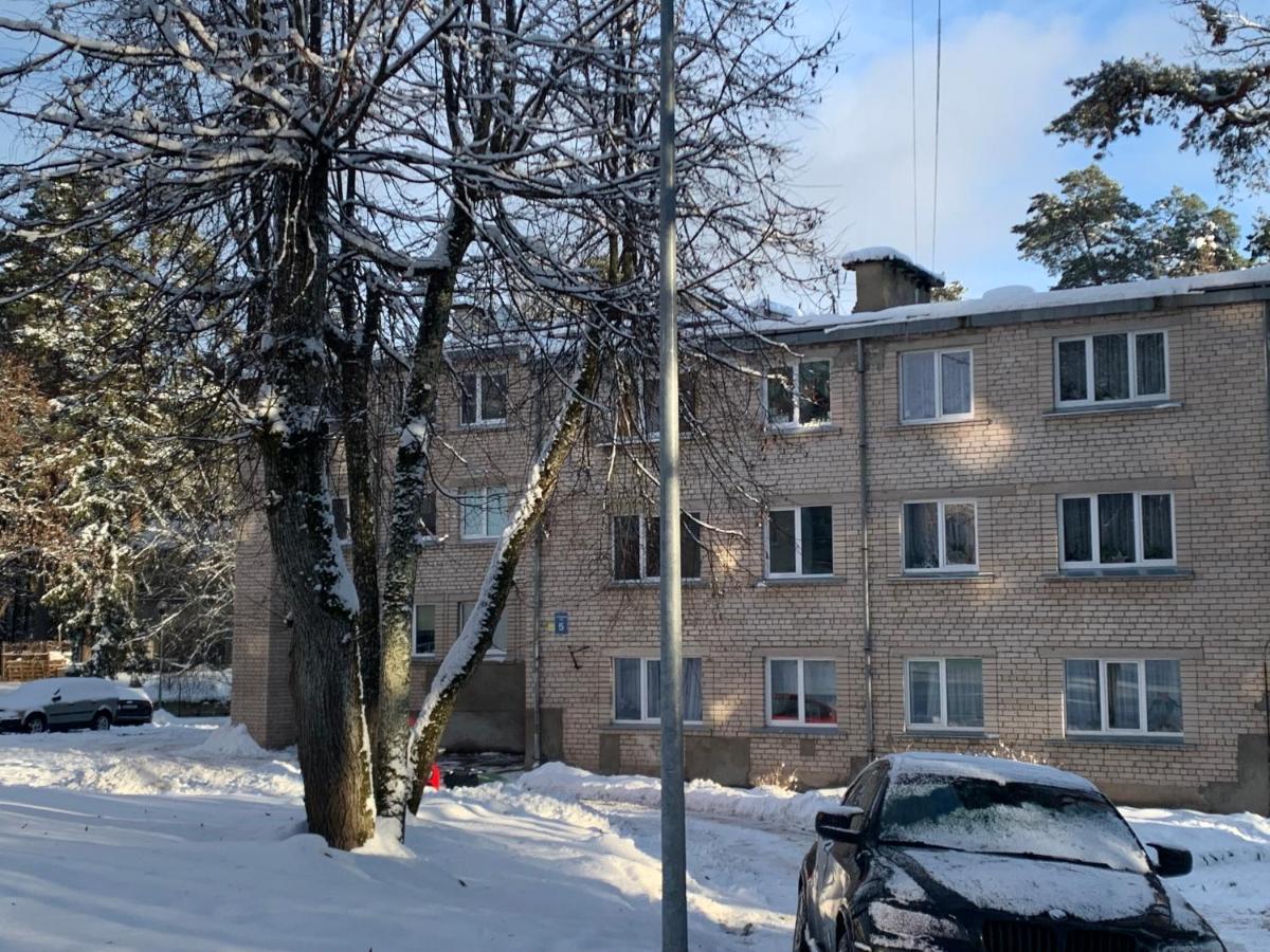 Studio Tipa Dzivoklis Ogre Eksteriør billede